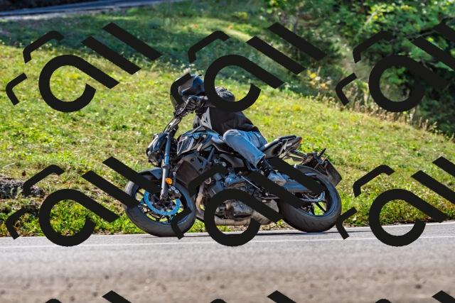 202509211139-DSC_3178_d2_