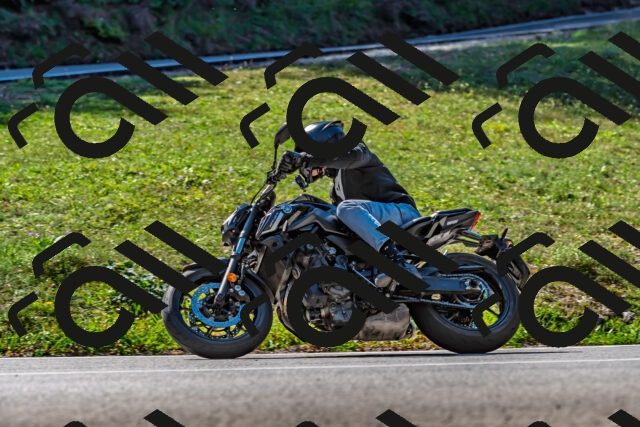 202509211139-DSC_3179_d2_