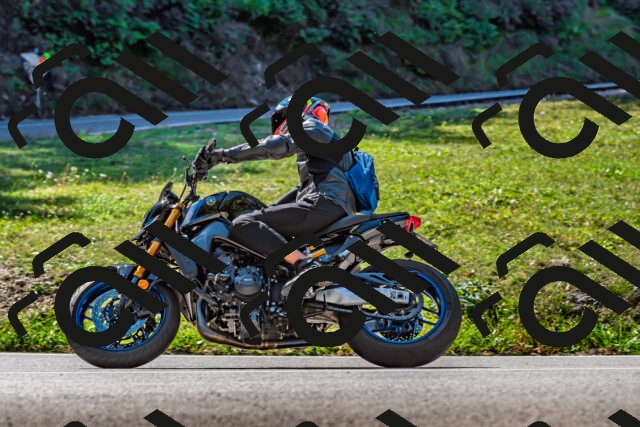 202509211139-DSC_3194_d2_