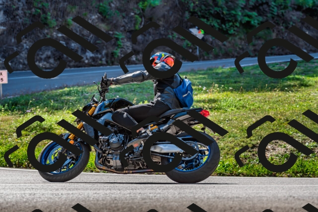 202509211139-DSC_3195_d2_