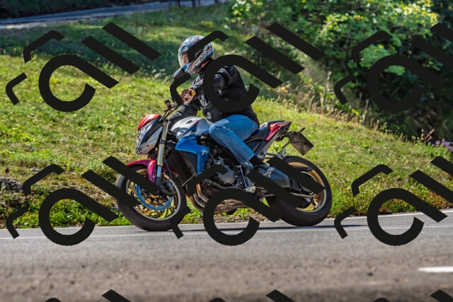 202509211139-DSC_3196_d2_