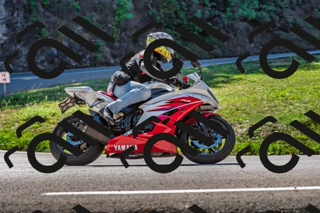 202509211142-DSC_3209_d2_