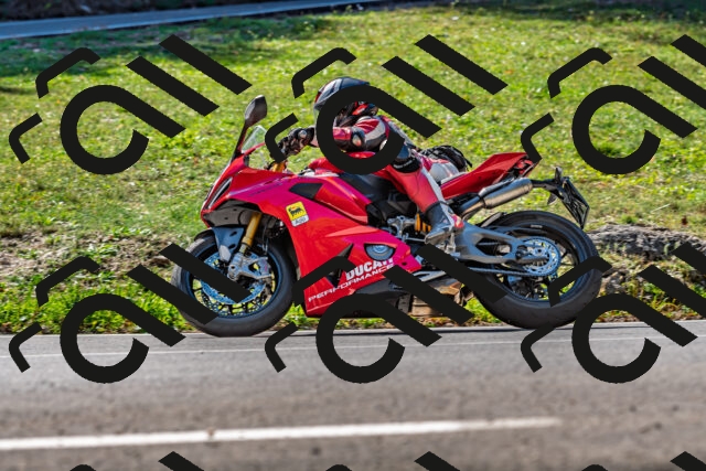 202509211144-DSC_3245_d2_