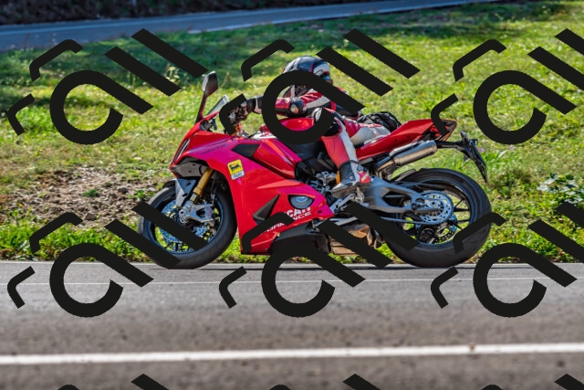 202509211144-DSC_3246_d2_