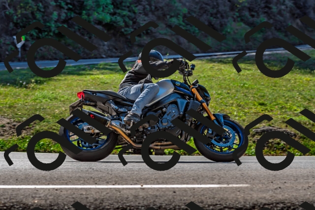 202509211149-DSC_3273_d2_