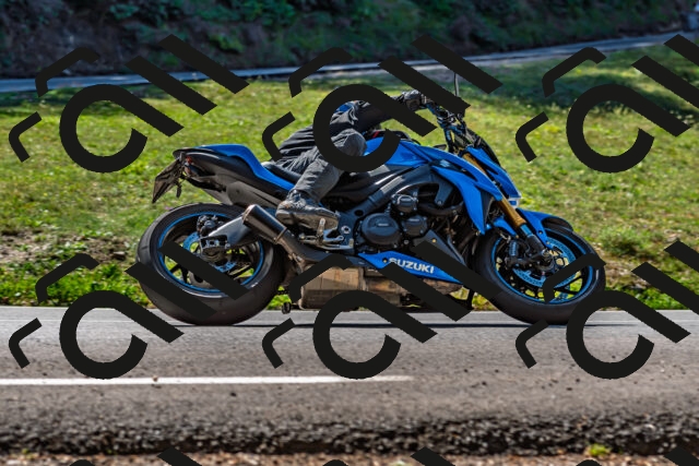 202509211150-DSC_3298_d2_