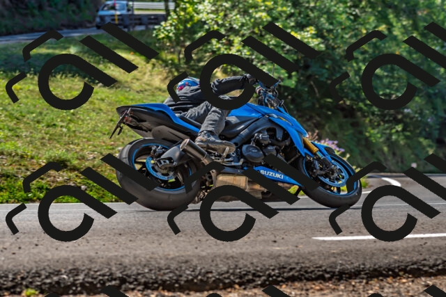 202509211150-DSC_3299_d2_