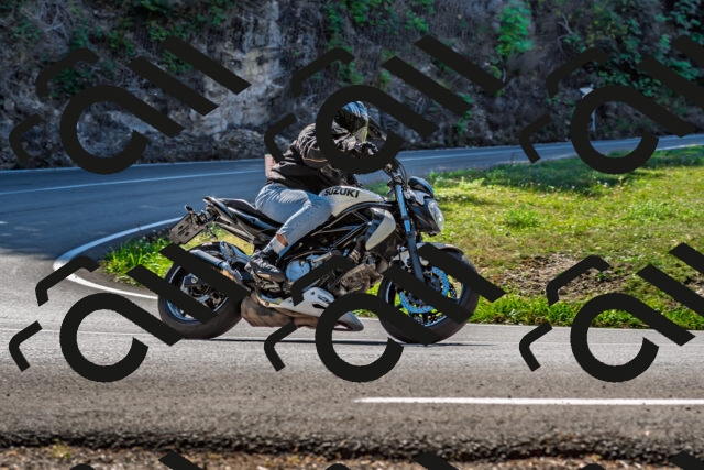 202509211151-DSC_3310_d2_