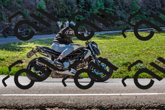 202509211151-DSC_3311_d2_