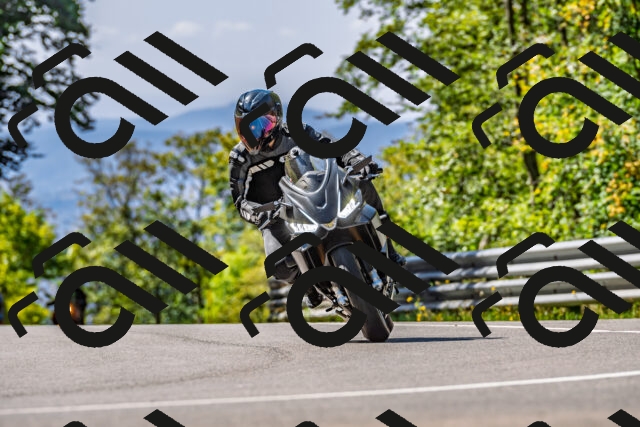 202509211152-DSC_3314_d2_