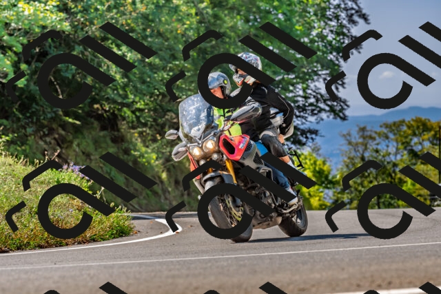 202509211152-DSC_3319_d2_