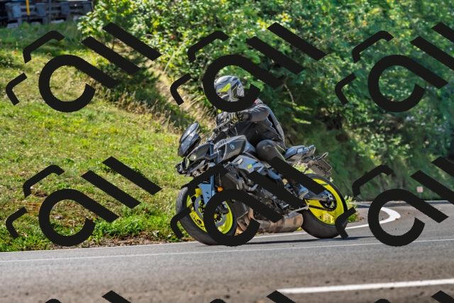 202509211153-DSC_3330_d2_