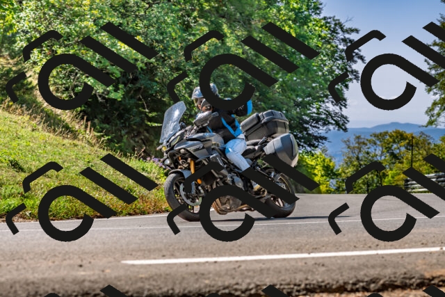 202509211154-DSC_3333_d2_