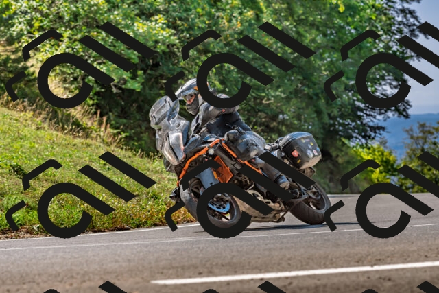 202509211155-DSC_3348_d2_