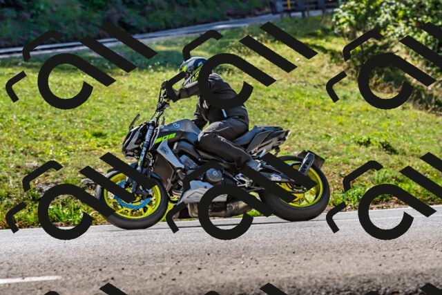 202509211157-DSC_3379_d2_