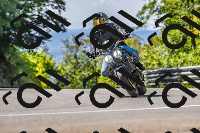 202509211157-DSC_3381_d2_