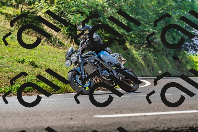 202509211157-DSC_3382_d2_