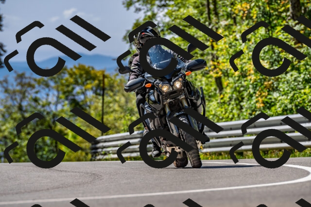 202509211158-DSC_3393_d2_