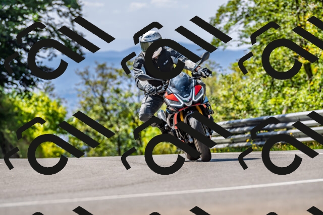 202509211159-DSC_3416_d2_