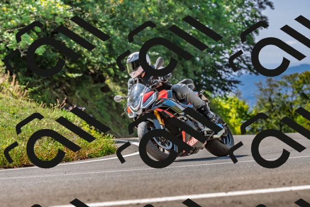 202509211159-DSC_3417_d2_