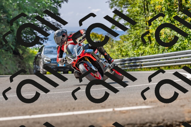 202509211208-DSC_3469_d2_