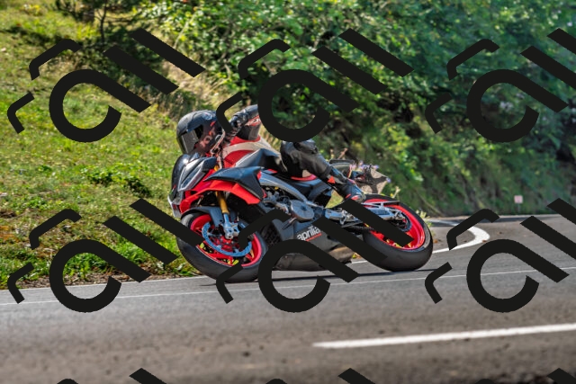 202509211208-DSC_3470_d2_