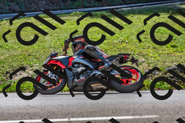 202509211208-DSC_3472_d2_