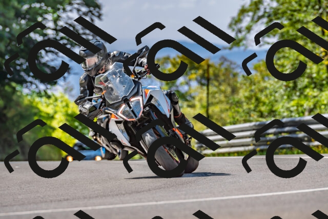 202509211208-DSC_3478_d2_