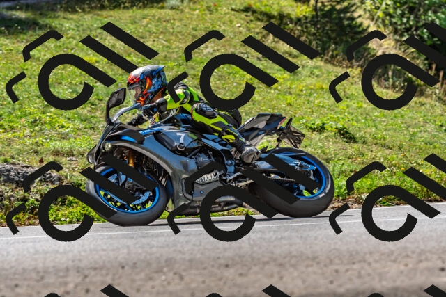 202509211208-DSC_3483_d2_