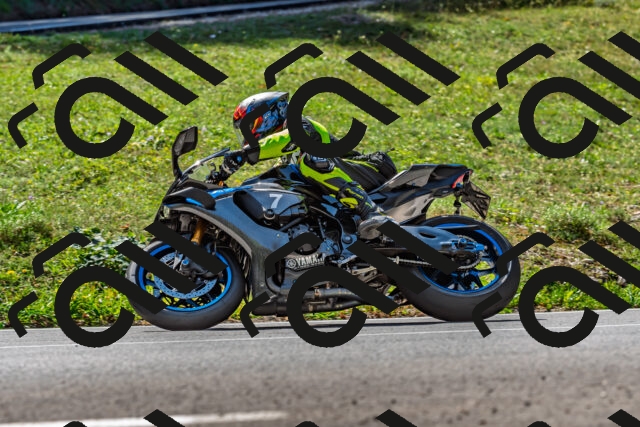 202509211208-DSC_3484_d2_