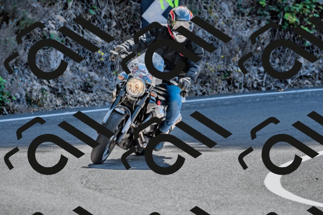 202509211208-DSC_3487_d2_