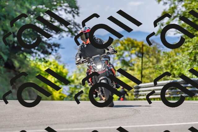 202509211208-DSC_3492_d2_