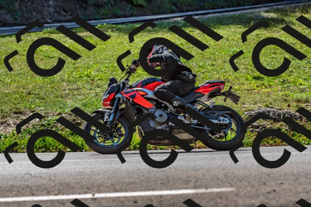 202509211208-DSC_3494_d2_