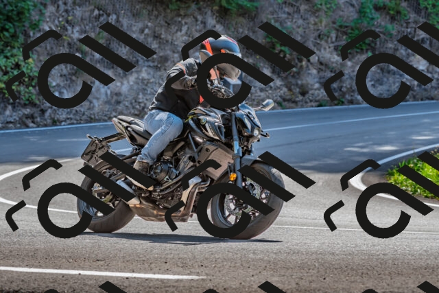 202509211209-DSC_3515_d2_