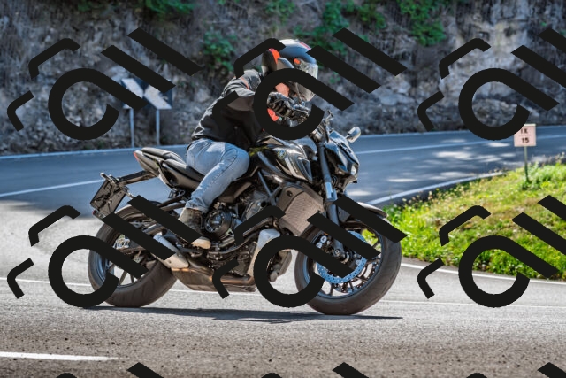 202509211209-DSC_3516_d2_