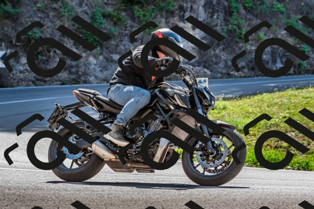 202509211209-DSC_3517_d2_