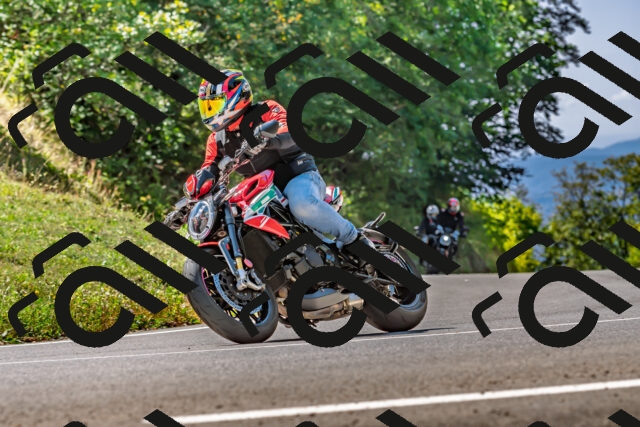 202509211211-DSC_3520_d2_