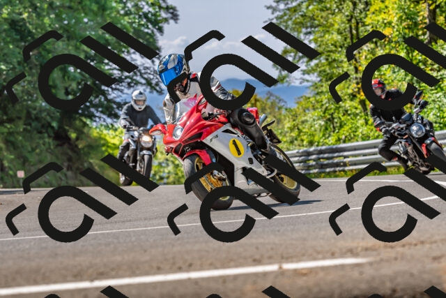 202509211211-DSC_3523_d2_