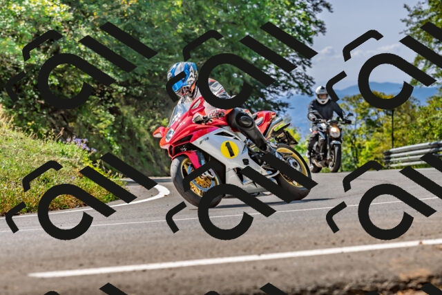 202509211211-DSC_3524_d2_