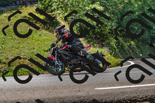 202509211211-DSC_3528_d2_