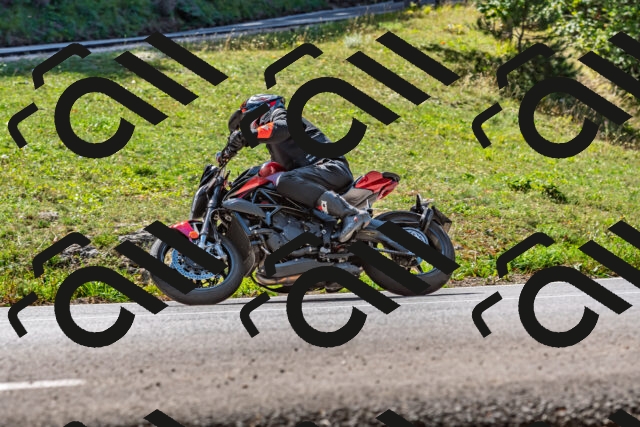 202509211211-DSC_3529_d2_