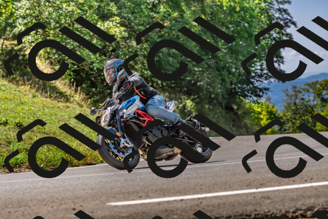 202509211212-DSC_3538_d2_