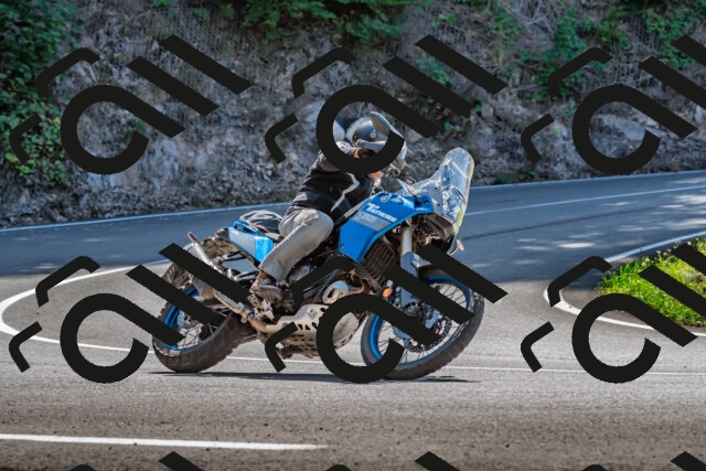 202509211212-DSC_3547_d2_