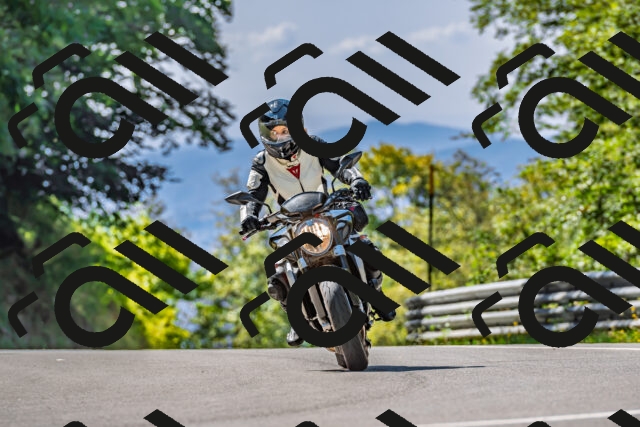 202509211212-DSC_3560_d2_