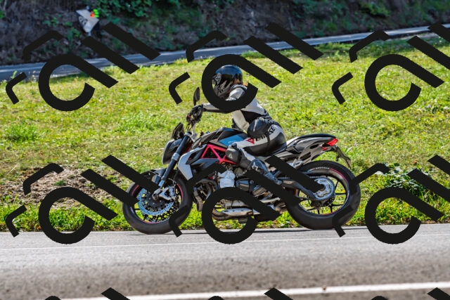 202509211213-DSC_3563_d2_