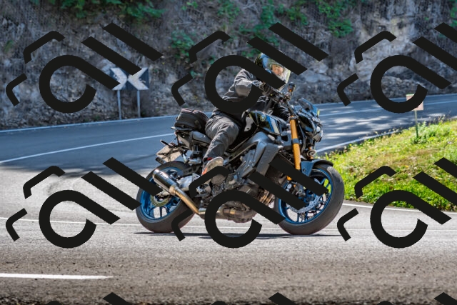 202509211215-DSC_3582_d2_