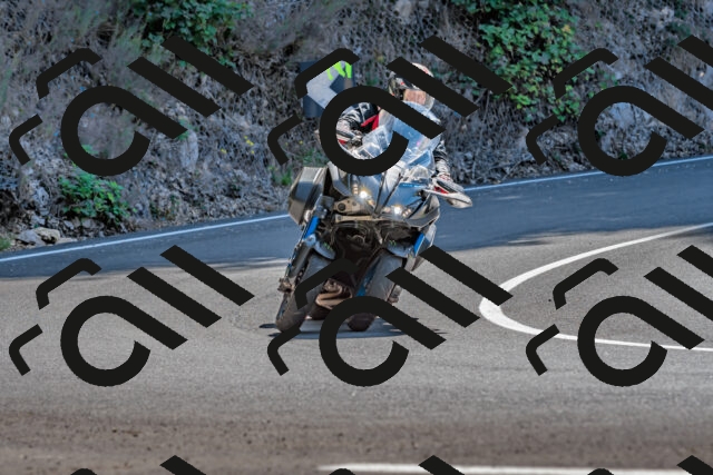 202509211215-DSC_3591_d2_