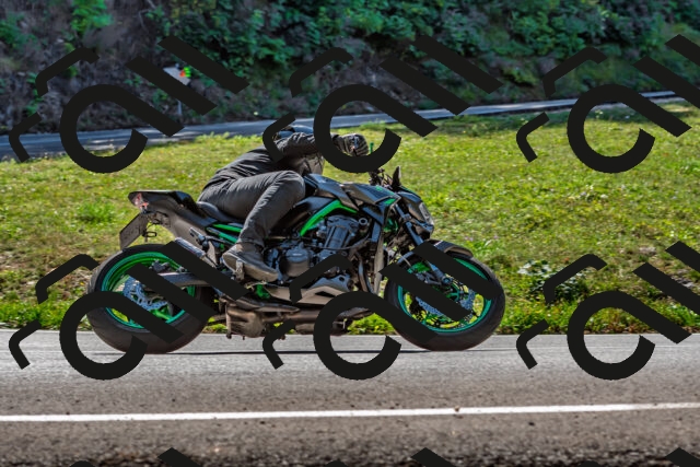 202509211216-DSC_3605_d2_