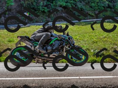 202509211216-DSC_3605_d2_