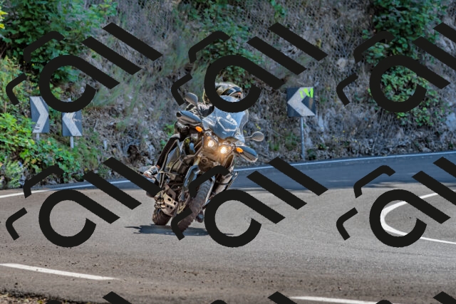 202509211219-DSC_3631_d2_